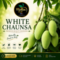 White Chaunsa