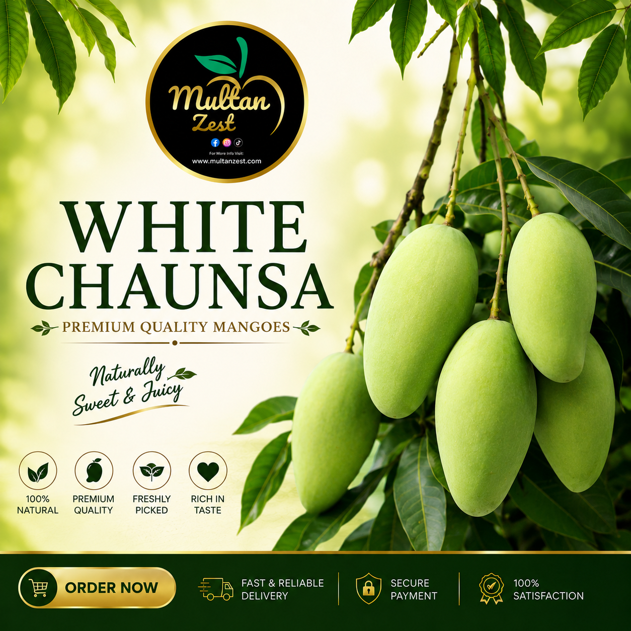 White Chaunsa