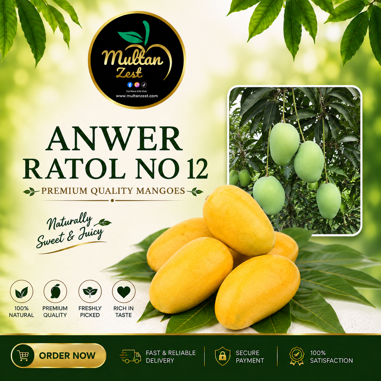 Anwer Ratol No. 12