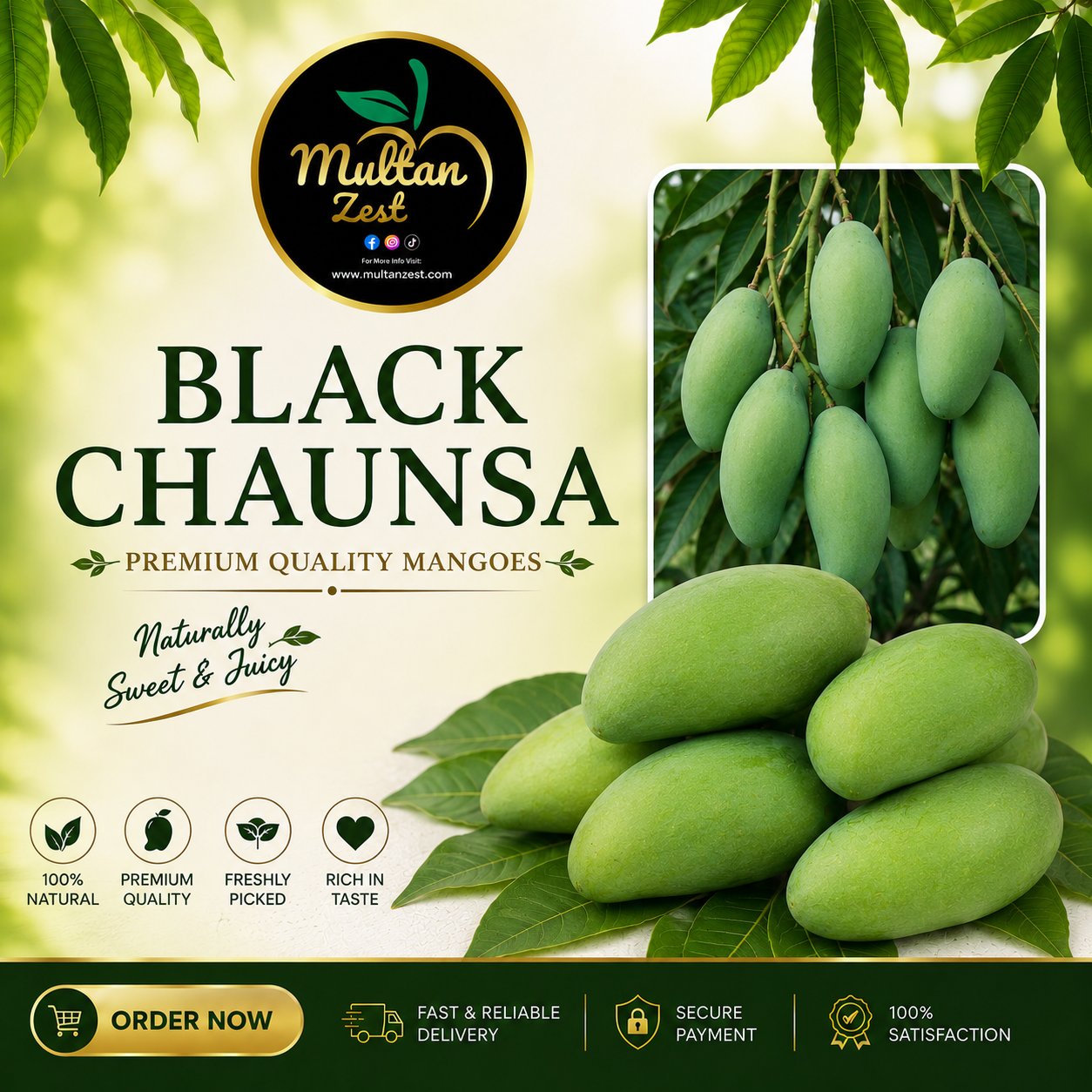 Black Chaunsa