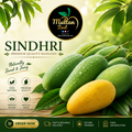 Sindhri
