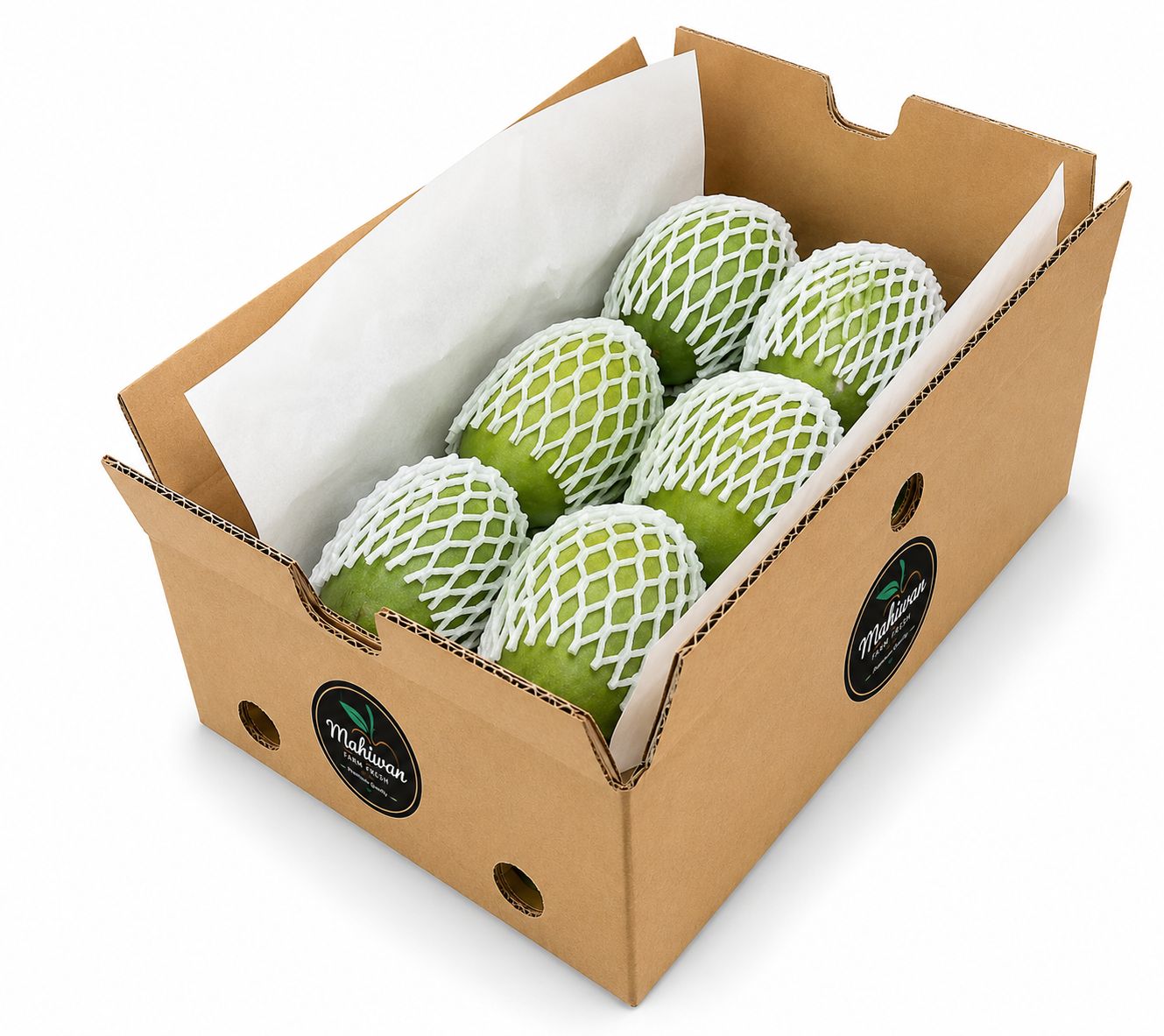 Fresh Fajri Mangoes Online Pakistan – Sweet & Juicy Premium Multan Mango Box | Farm Fresh Mangoes